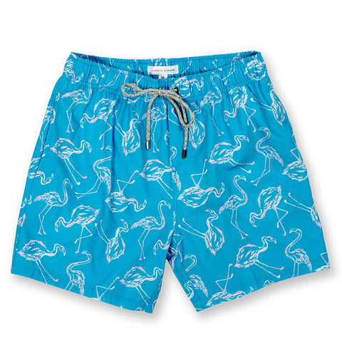 Men's Aqua Swim Trunks Dry Fast 4 Ways Stretch, Flamingo Print