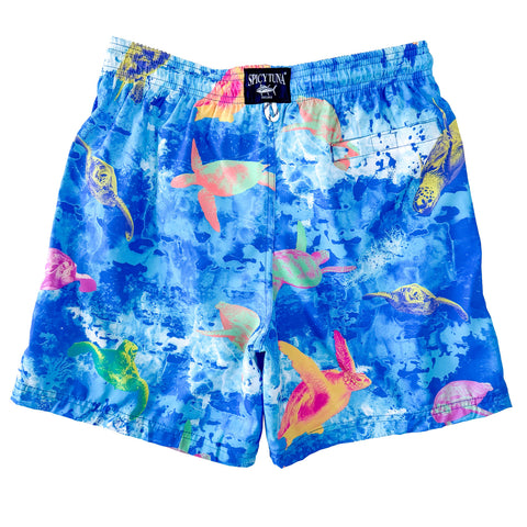 Men's Beach Swim Trunks Above the Knee Shorts Quick Dry with Pockets Nautical Prints