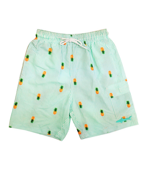 Boys Swim Shorts Fast Dry, Pineapple Print