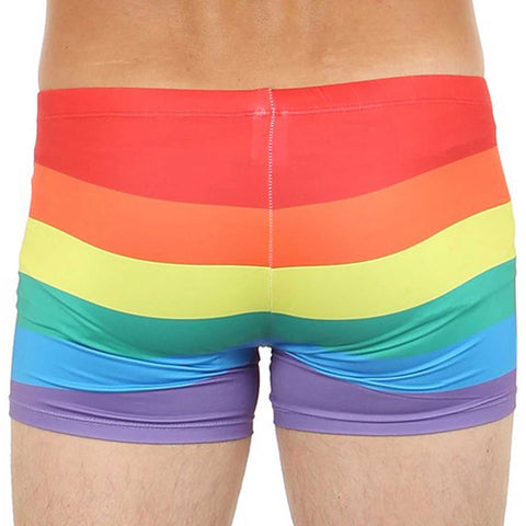 Men's Swimwear Briefs Swim Suit Beachwear Boxers