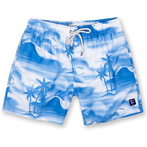 Men's Swim Shorts Swimming Trunks Elastic Swimwear Shorts