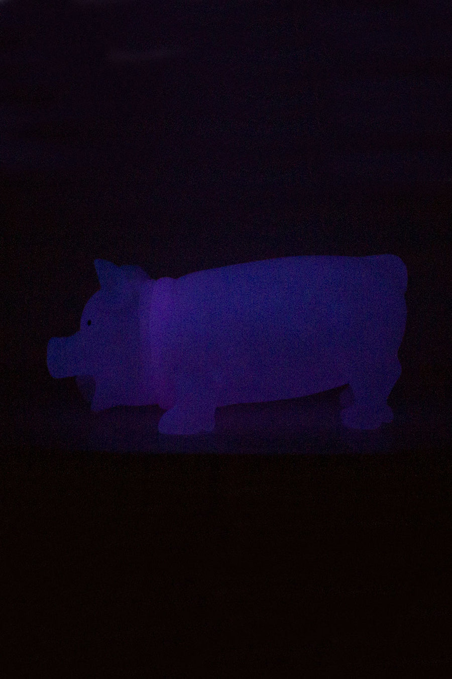 Toy 8-inch Rubber Squealing Pig, Glow In The Dark