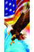 Patriotic Eagle Beach Towel, 30" x 60", Cotton Velour