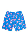 Men's Blue Swim Shorts With Flamingo 4 Ways Stretch - Vacay Land 