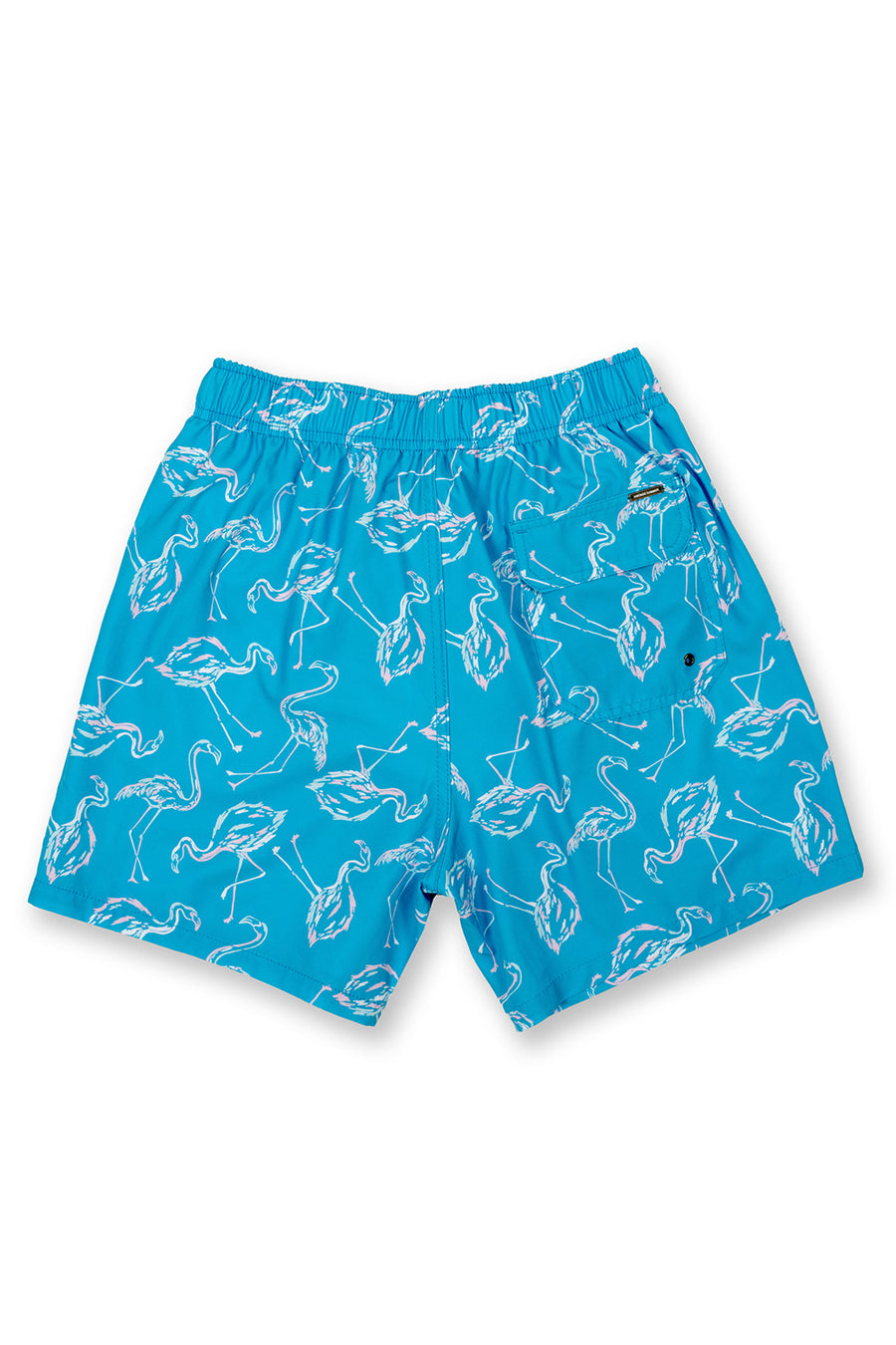 Men's Aqua Swim Trunks Dry Fast 4 Ways Stretch, Flamingo Print